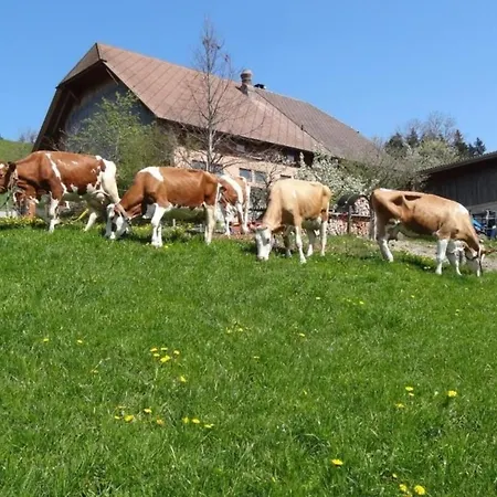 Bauernhof Gerber *